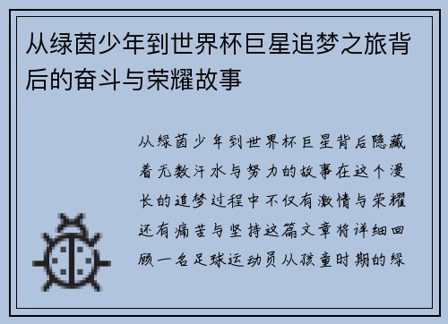 从绿茵少年到世界杯巨星追梦之旅背后的奋斗与荣耀故事